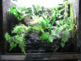 /album/fotogalerie-teraria-a-technika/img-0423-jpg/